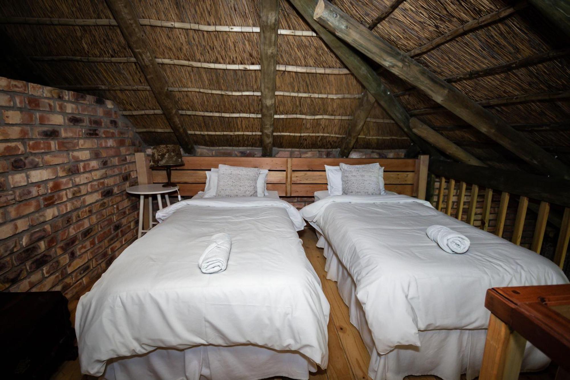 Tarantula Guest House Calvinia المظهر الخارجي الصورة