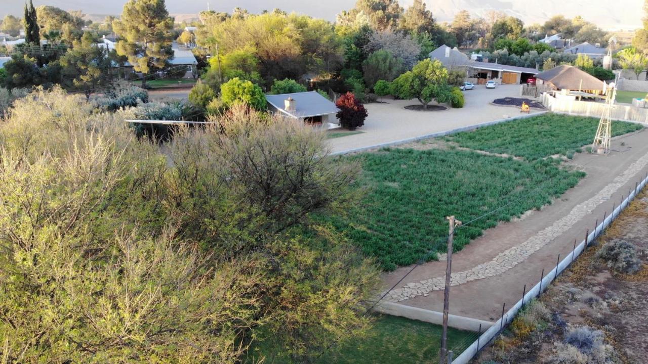Tarantula Guest House Calvinia المظهر الخارجي الصورة