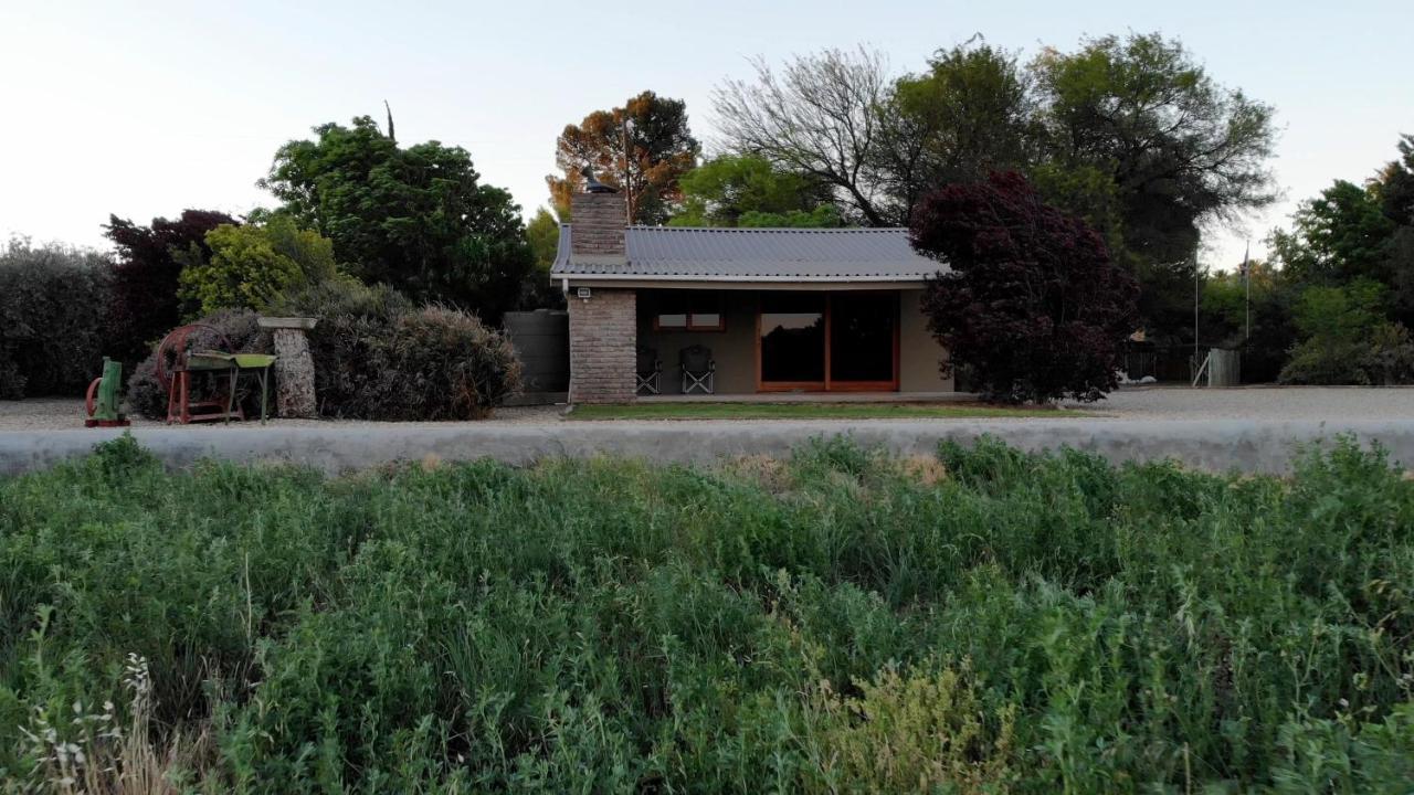 Tarantula Guest House Calvinia المظهر الخارجي الصورة