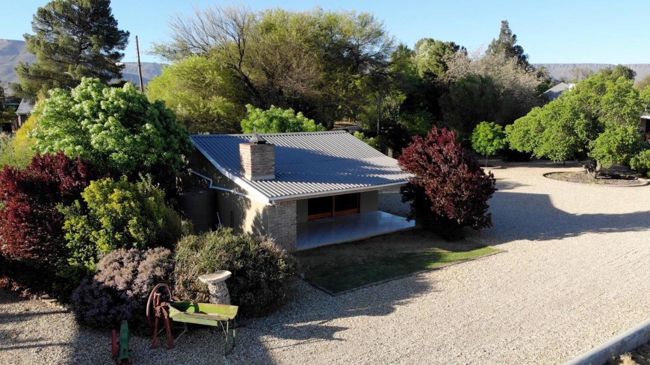 Tarantula Guest House Calvinia المظهر الخارجي الصورة